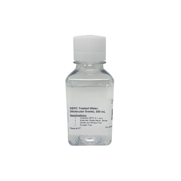 Water, DEPC-Treated, 250 mL